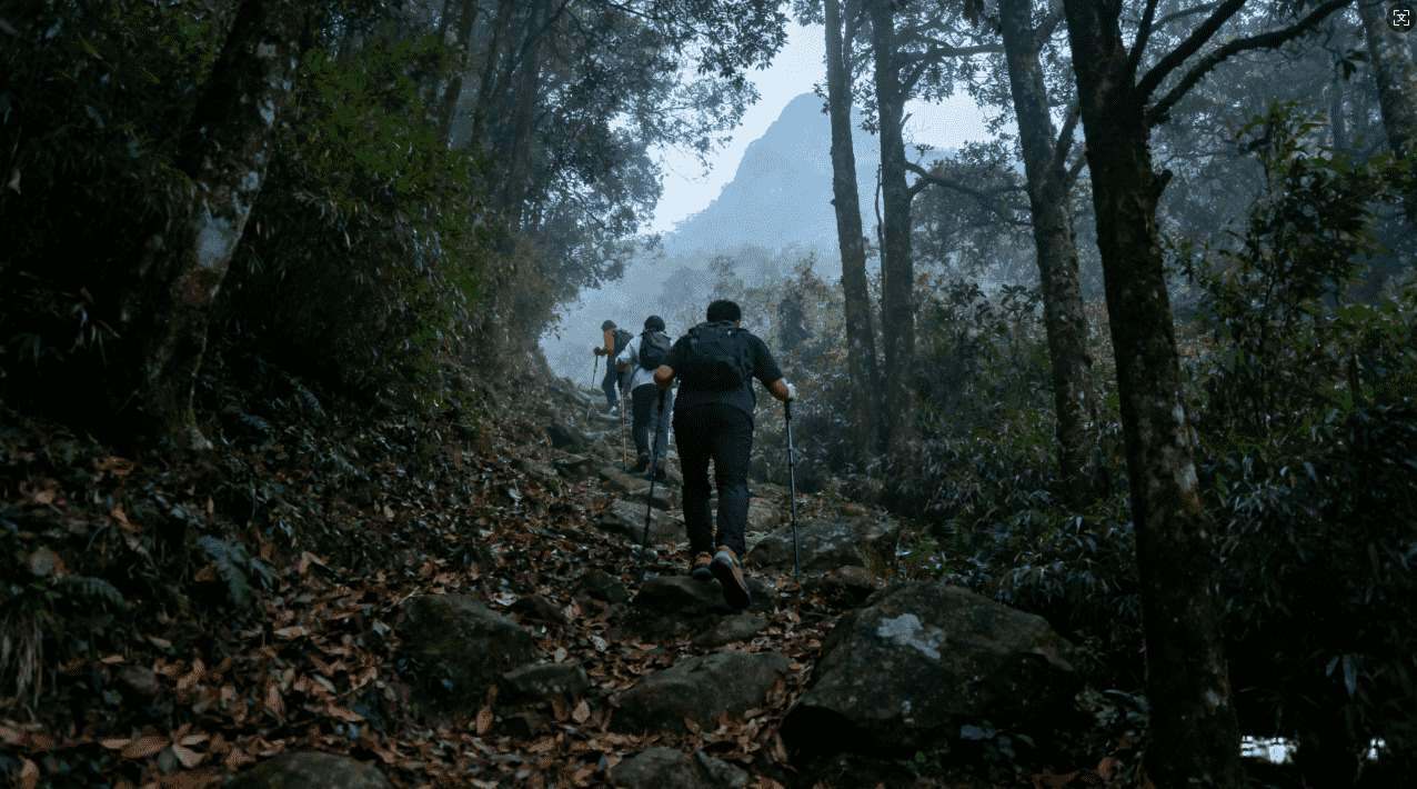 轻蜂网络加速器破解技巧全指南